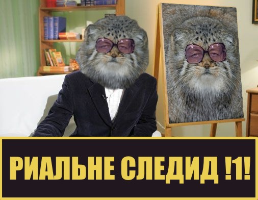 Фотожабим доктора Курпатова