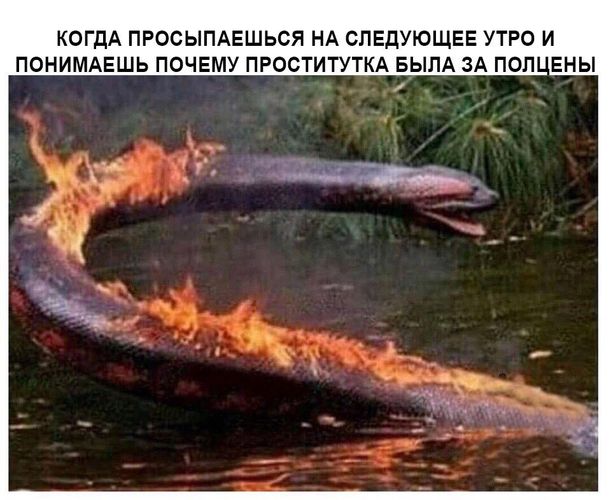 И снова пятница. И немного слегка пошлых картинок с надписями и без 16+ (28.08)