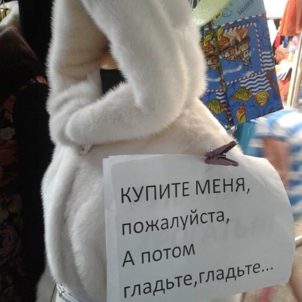 Подборка забавных реклам и объявлений