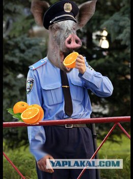 Что добываем?