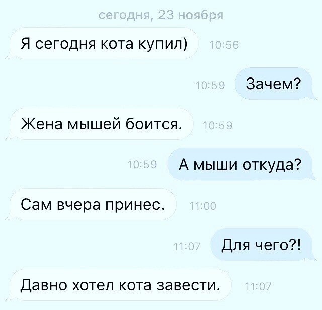 Фотки и картинки: юморные и красивые, забавные и милые 15.10.20