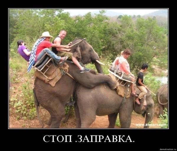 Что увидела Эмма