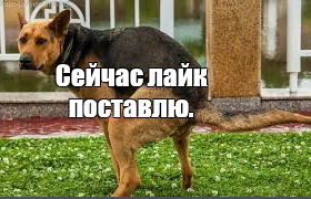 Немного истории