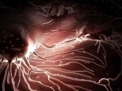 Упрямые наркодилеры в броневике