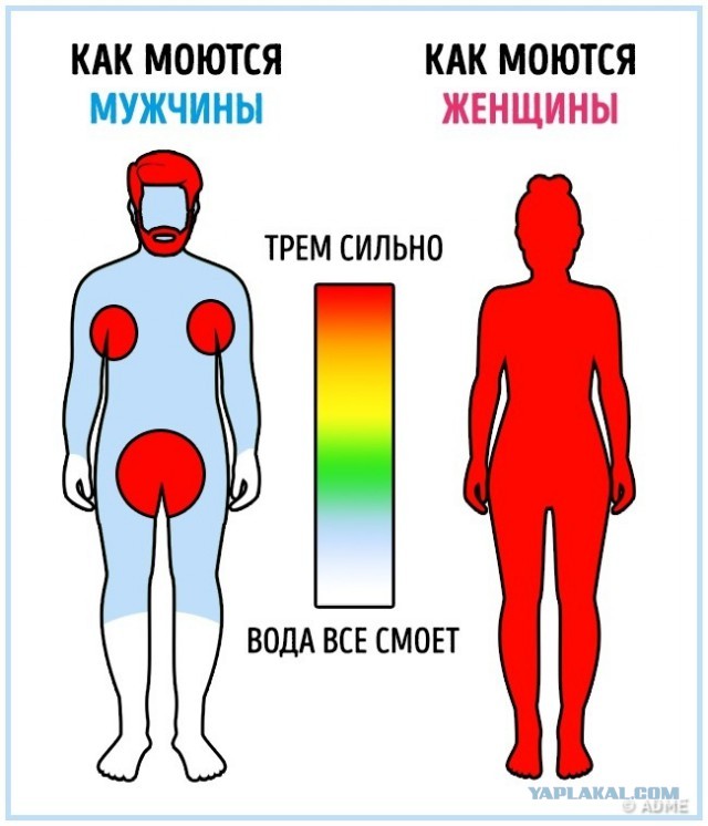 Как часто стоит мыться? И мыть ли все?