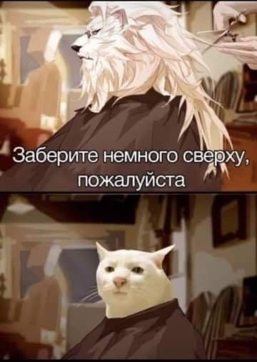 Так себе картинки 15.10.21