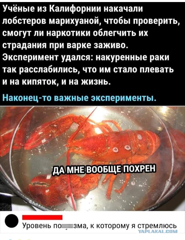 Картинки - не картинки. Смешные - не смешные 2