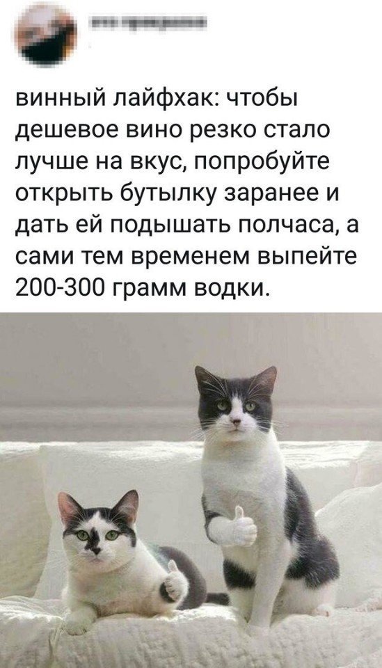 Так себе картинки 08.11.21