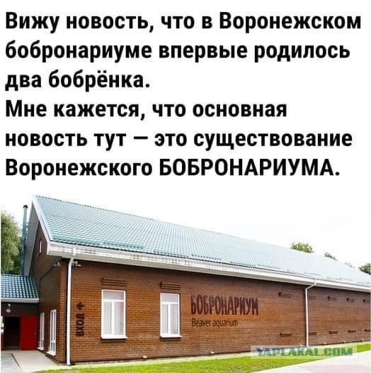 Так себе картинки 15.11.21