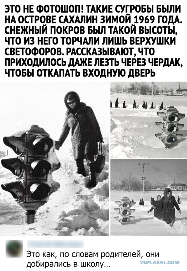 Так себе картинки 21.11.21