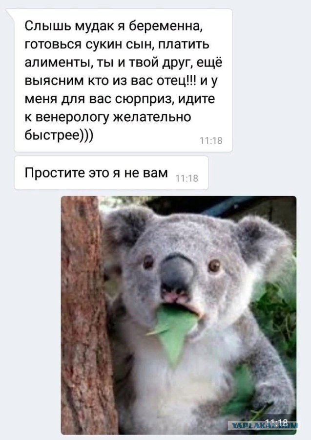 Картинки всякие и аморальные - 15
