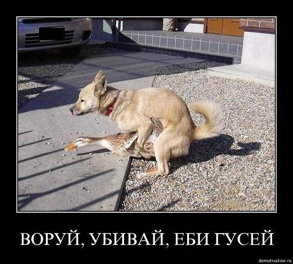Судьба Назарбаева. Это не «протесты», господа. Это - взрыв!