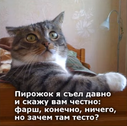 Весёлый полтишок 28.02.22