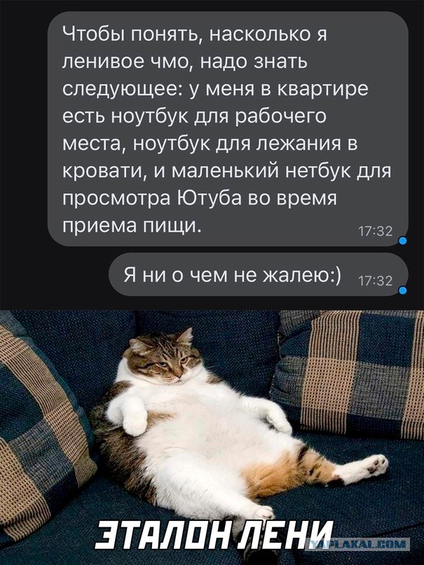 Весёлый полтишок 31.05.22