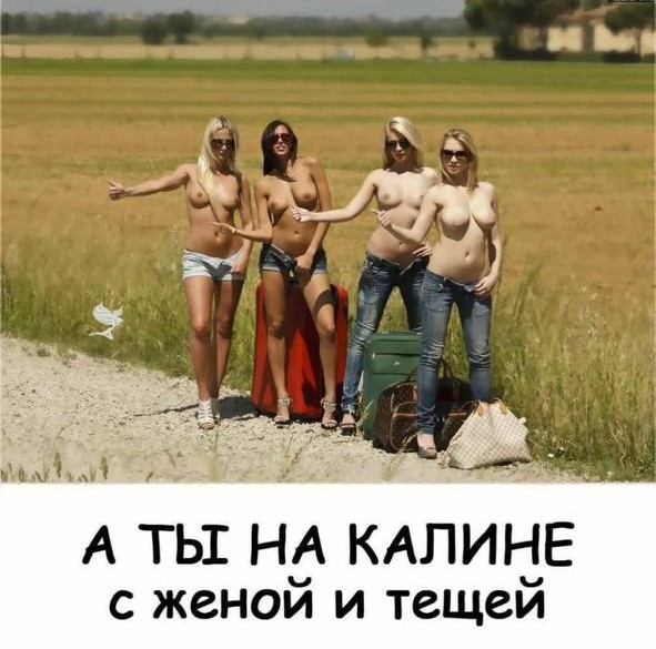 Так себе картинки 18.06.22