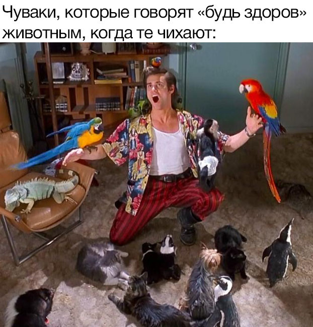 Картинки и мемы для настроения - 17