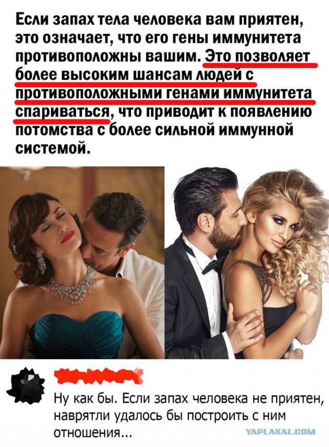 Так себе картинки 17.09.22