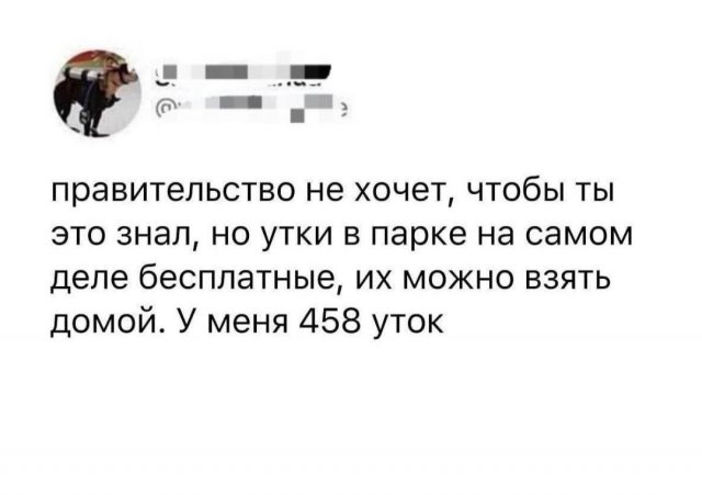 Картинки и мемы для настроения - 119