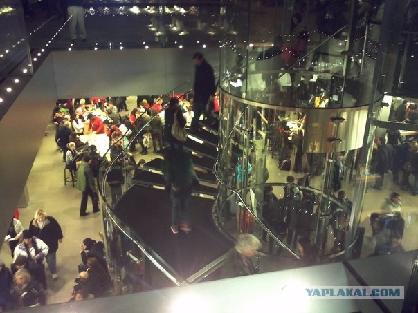 Моя первая поездка в Нью-Йорк и Маями