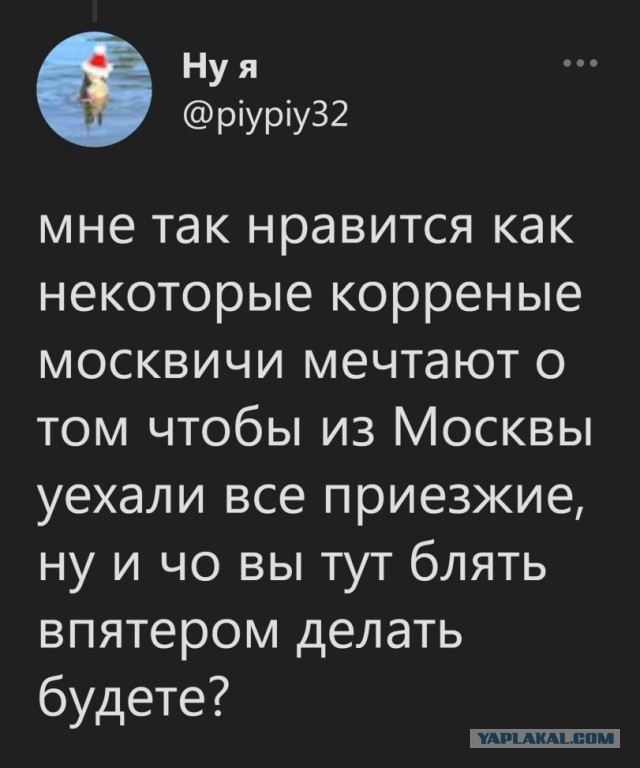 Дичь