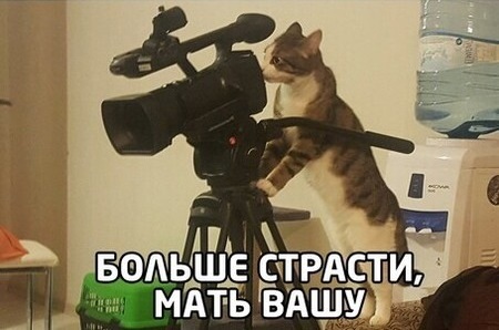 Отвечает Александр Друзь⁠⁠