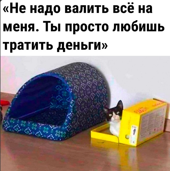 Весёлый полтишок 19.07.23