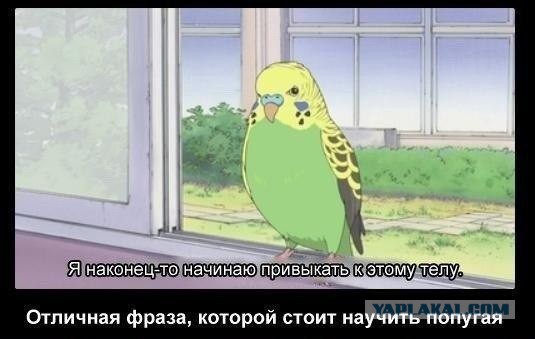 Как вы думаете, кто из него вырастет?
