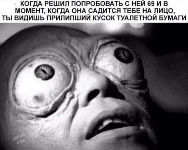 Баяны разной степени давности.