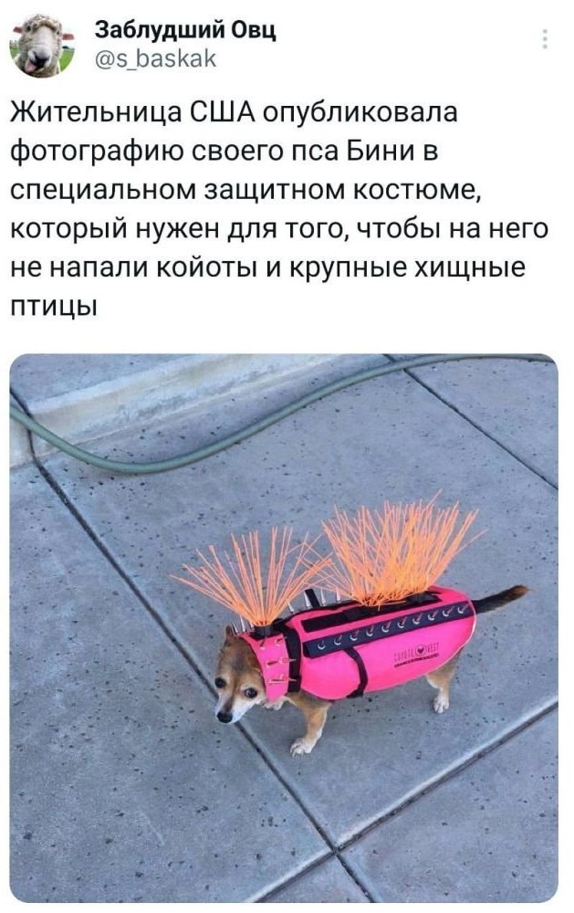 20 картинок