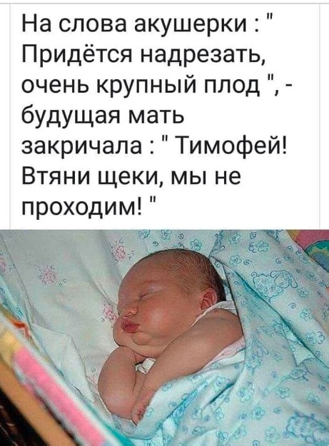 Приколы с налетом деградации