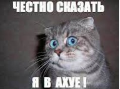 Автобус с детьми улетел в кювет, пытаясь избежать столкновения с фурой