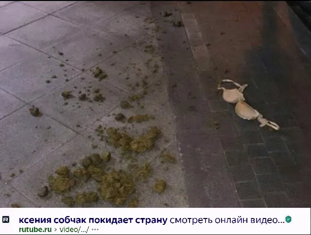 Понасенков предсказал судьбу Собчак