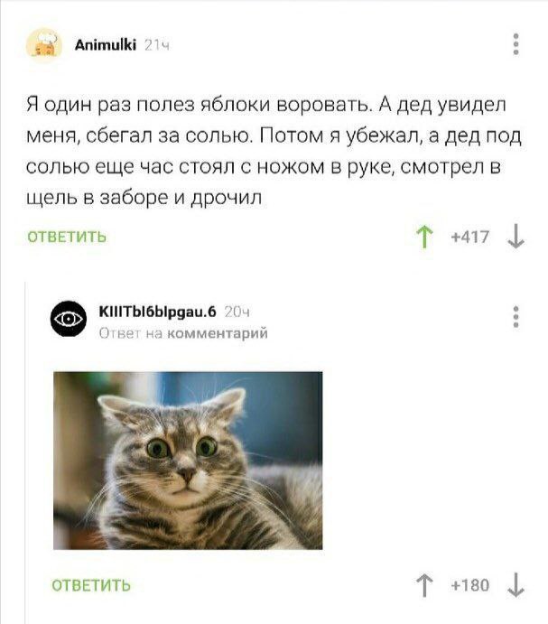 Выстрел солью
