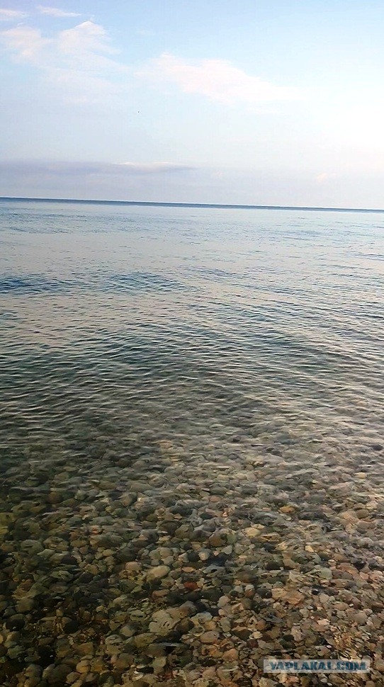 Туристы, приехавшие с Чёрного моря, массово подают в суд из-за проблем во время отпуска