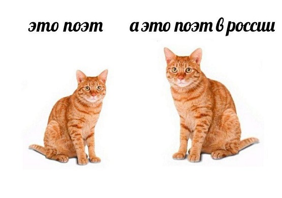 Между нами тает лёд
