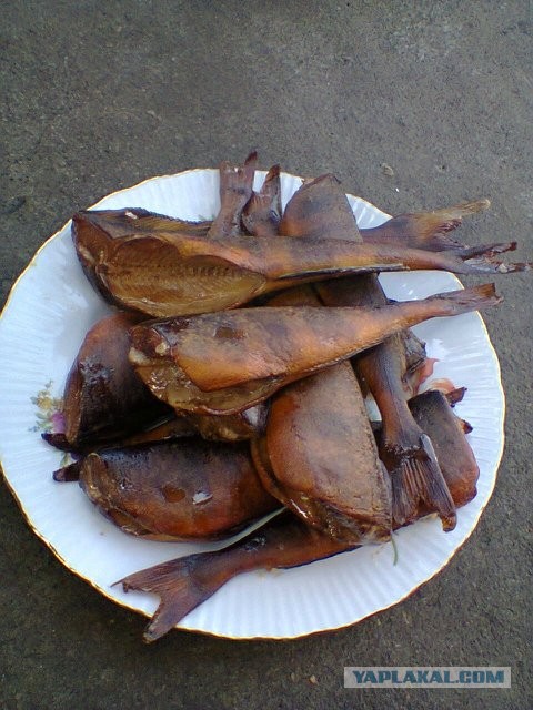 Интересные факты о сале