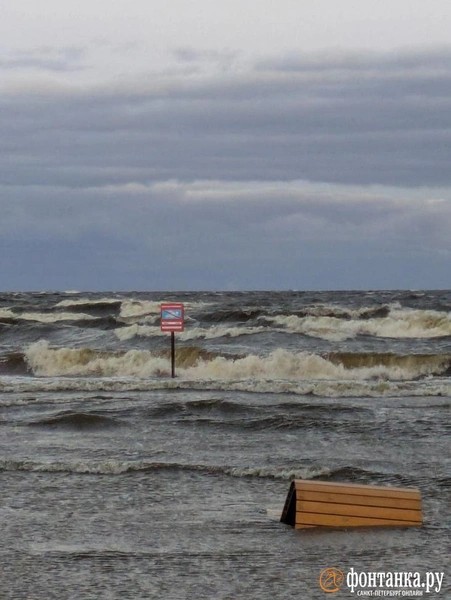 Муж изнасиловал собственную супругу на известном питерском нудистском пляже "Дюны" — всё произошло накануне в разгар дня