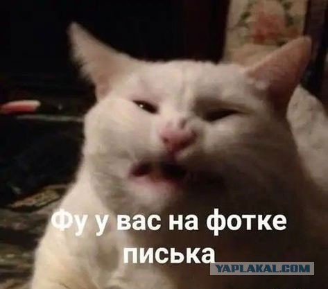 Оно ест... И может отплясывать