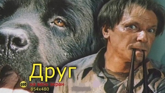 Про Яковлевича.
