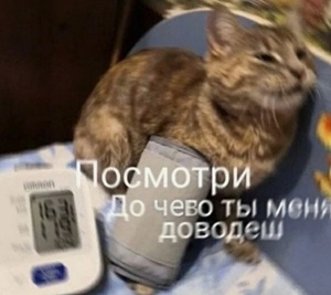 Подстава, подстав.