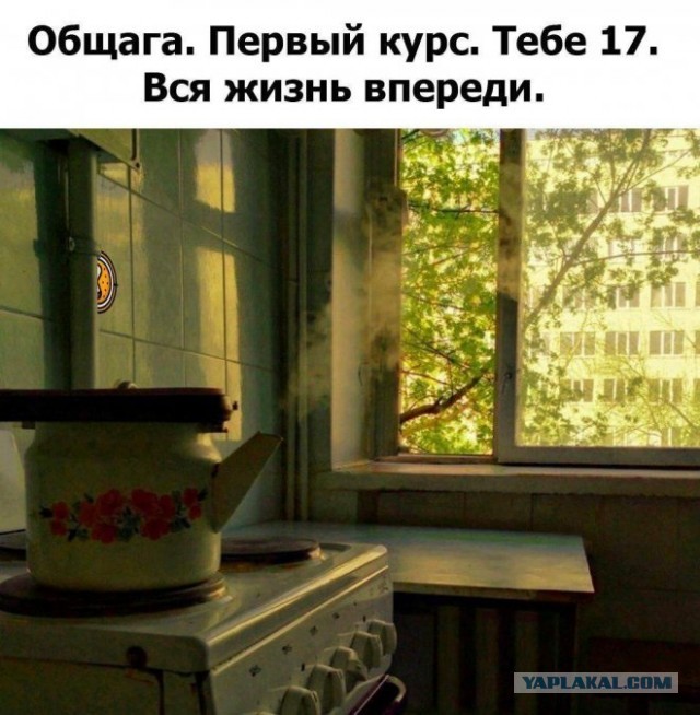 Веселые картинки в маленькую пятницу (17.09)