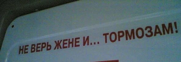Дальнобойщик развёлся с женой из-за кота