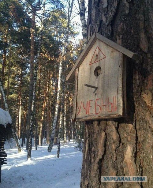 Среды картинки
