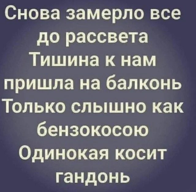 Выбор в пользу тишины: стоит ли переезжать в дом за городом и сколько это стоит?