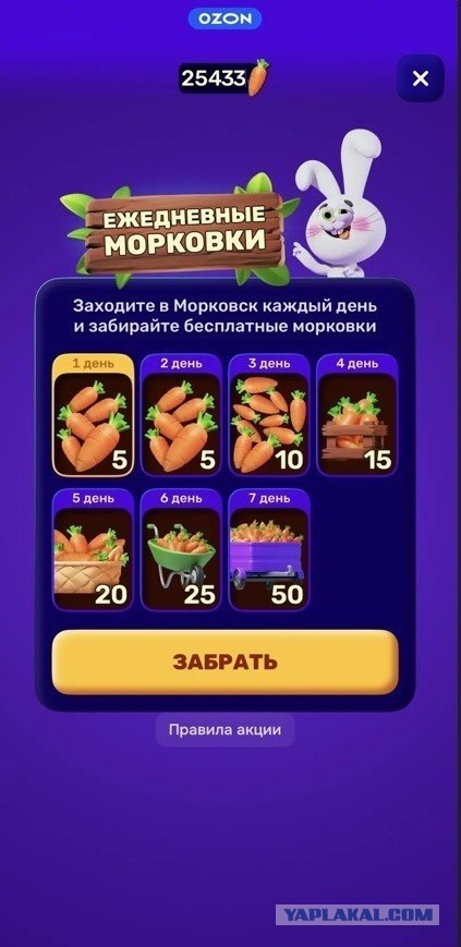 "Морковск" - попал на долг морковками