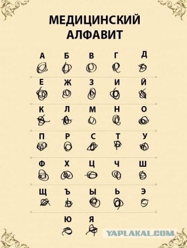 Это... это запись врача 81-го уровня!