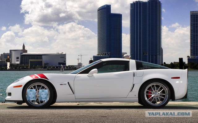 Мисс Конгениальность