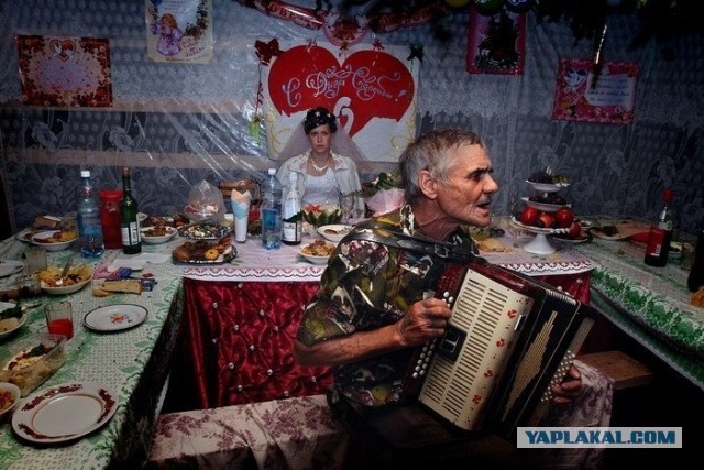 Фото не для слабонервных.