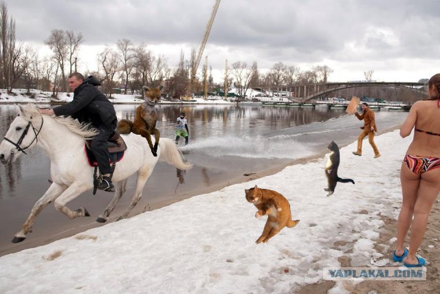 Столько бреда в одной фотке!