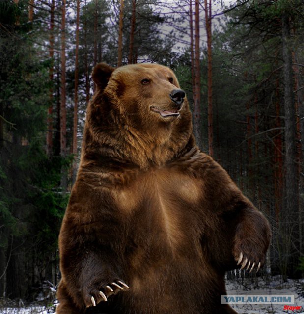 Крым, Евпатория, 29.03.2014